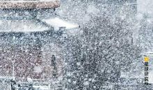 李白：清平乐·画堂晨起