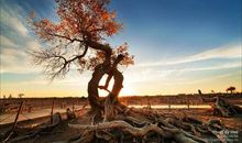 人，一定要大气！大气才有大财