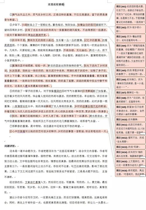 评中学生的作文