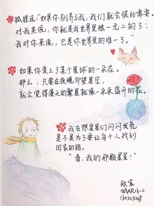 句子摘录来自“普通世界”