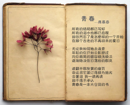 习慕容的名言