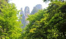 描写森林公园的句子