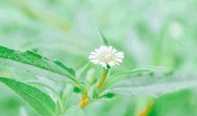 我渴望获得成功