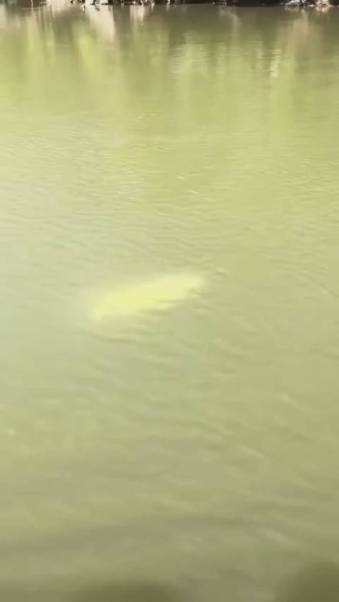 李碧华：医生