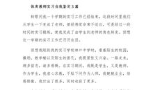 文员实习自我鉴定范文