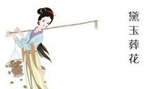 读红楼梦有感100字