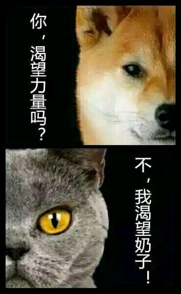 我渴望独立