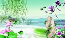 写景作文:街道的变化