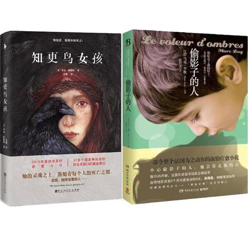 暗影窃贼书评