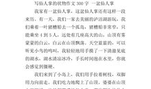 描写仙人掌的句子