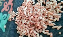 阿·雷哈尼名言