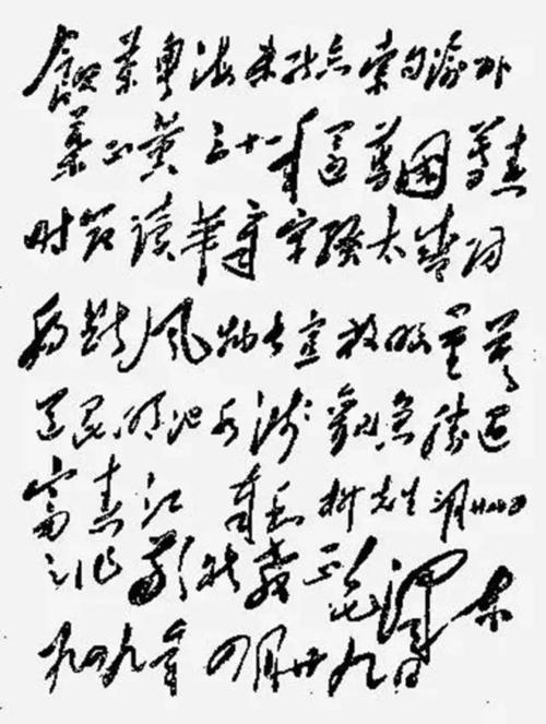 毛泽东：齐鲁·何柳子