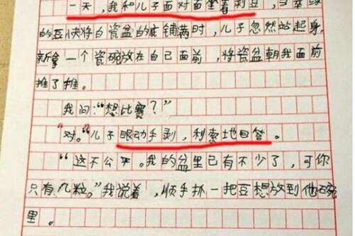 小学写作作文评论