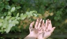 经典语录：刚要成熟，又要老去，时光，好不经用