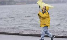 描写暴雨的诗句