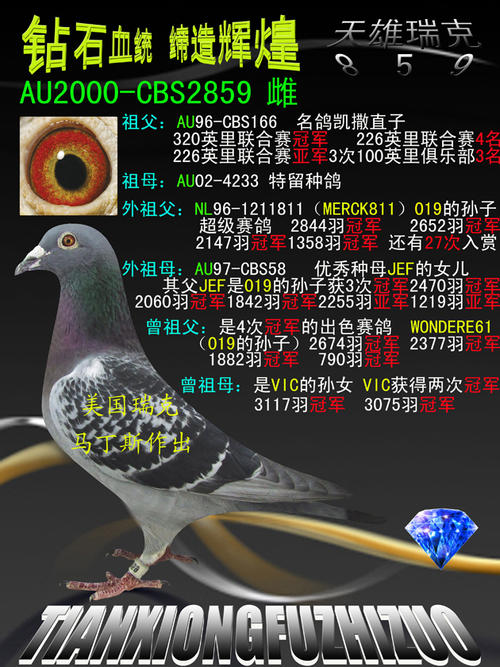 天雄行情