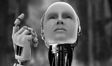 《皮埃罗》读后感