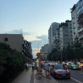 杏林子：朋友等