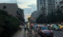 杏林子：朋友和其他