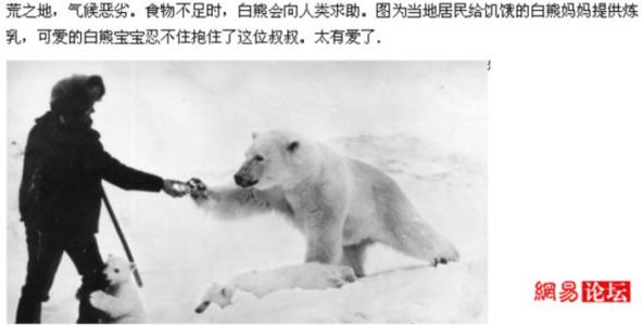 历史上最感人的词