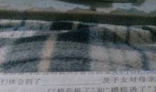 秋天的怀念读后感500字