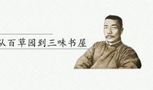 从百草园到三味书屋读后感50字