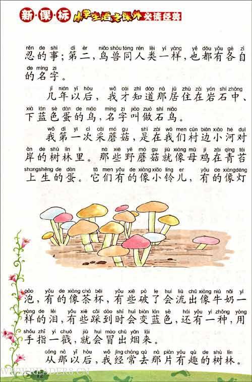 双十阅读经验