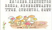 双十读书心得体会