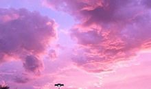 描写友情的唯美句子