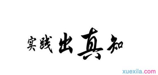 关于通过实践认识的名言