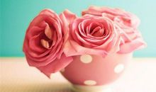 描写玫瑰花的诗句