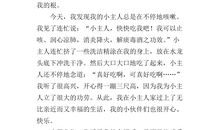 “星星”的自述作文