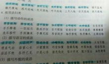 描写表演场面的成语