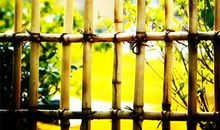 顾城：不是再见