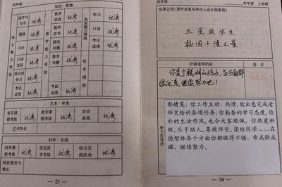 大学生综合素质测验的自我评价