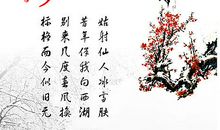 描写梅的诗句