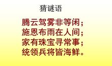 中华第一龙主要内容
