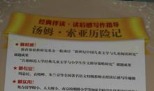 汤姆索亚历险记读后感700字