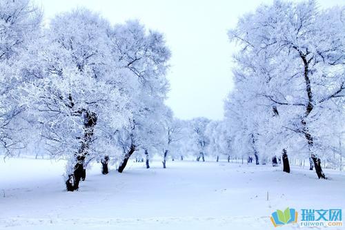 描述雪梅句