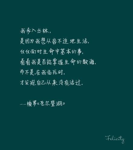 2015年最美的句子
