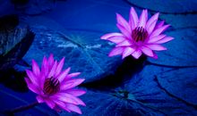 是谁唤醒了他那颗沉睡的心