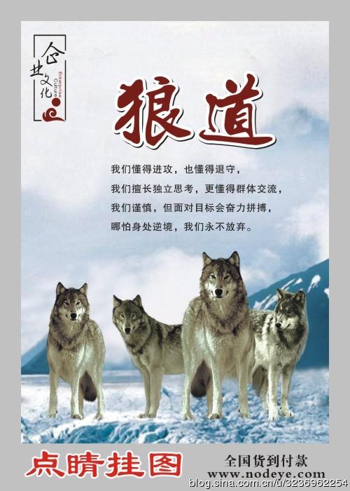 关于狼的励志名言