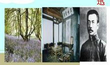 从百草园到三味书屋读后感500字