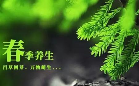 春生短信大全