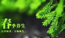 春季养生短信大全