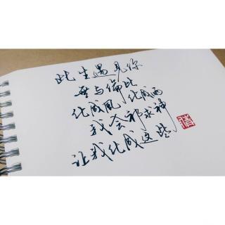 顾成：也许我不应该写