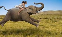 《象与骑象人》读后感