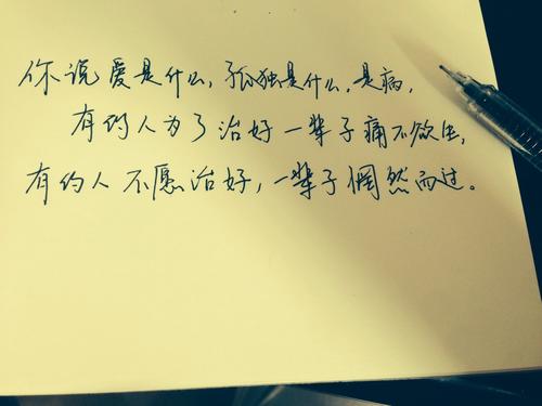美丽的摘录