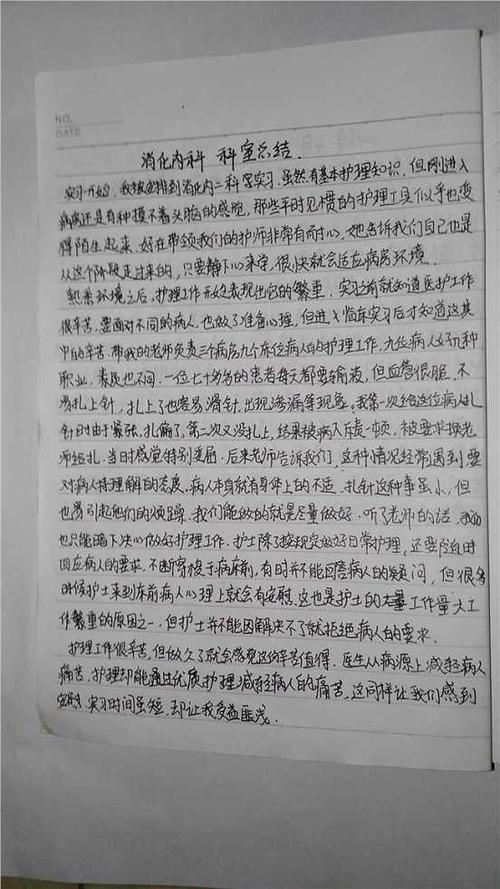 初中每周日记300字
