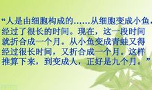 童年的发现主要内容